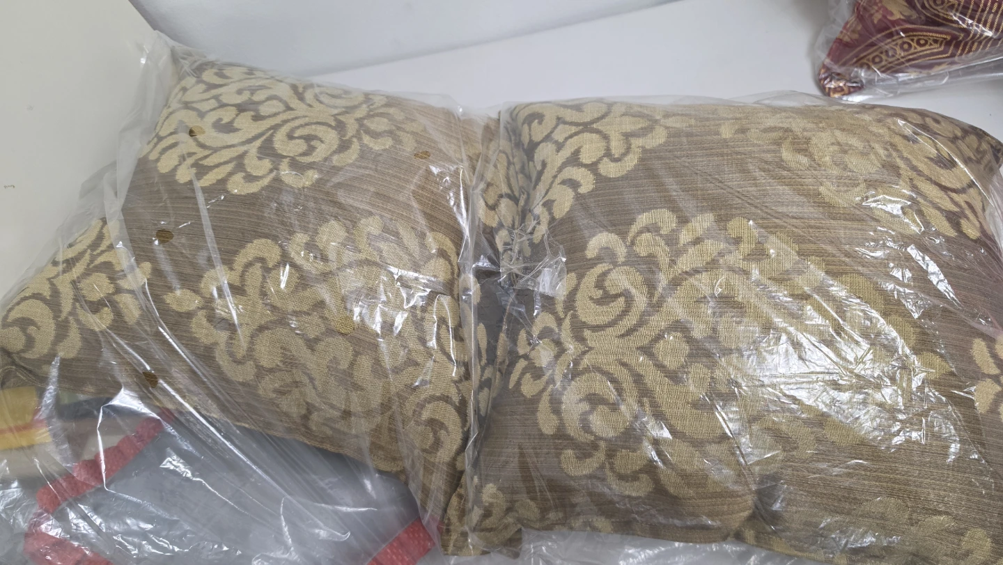 Set of 2 Decorative Throw Pillows