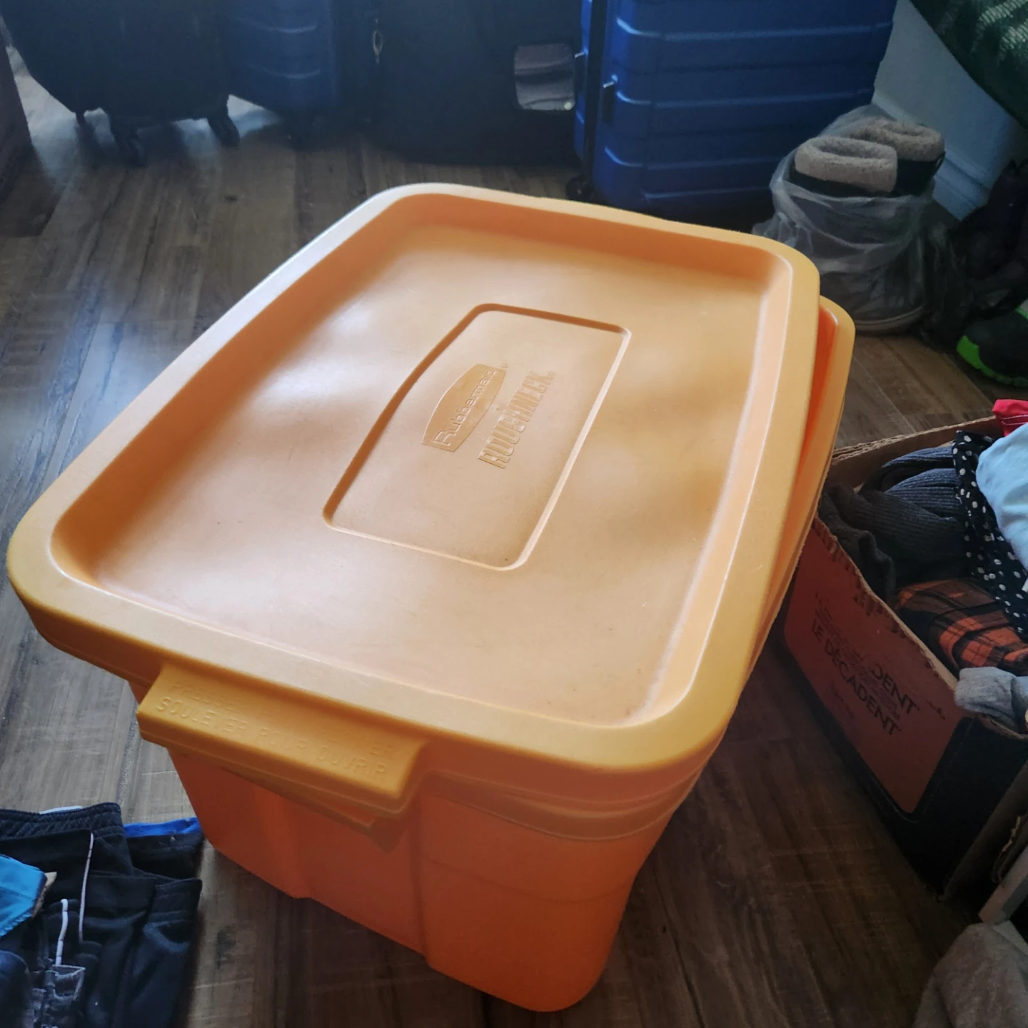 Rubbermaid Sesame Street Bert & Ernie Storage Bin - photo 4