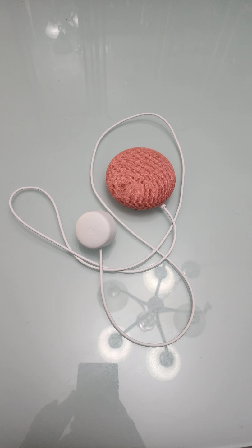 Google Nest Mini - Coral
