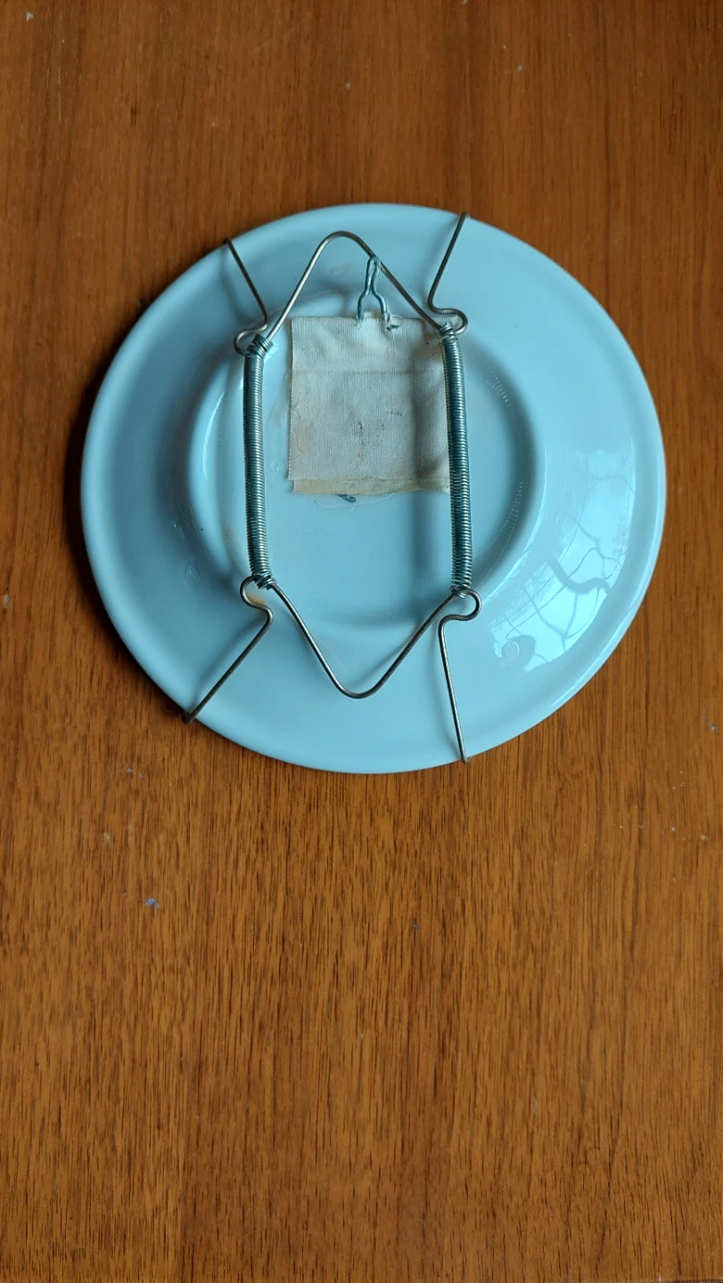 Decorative Wall Plate with Flower Design - photo 2