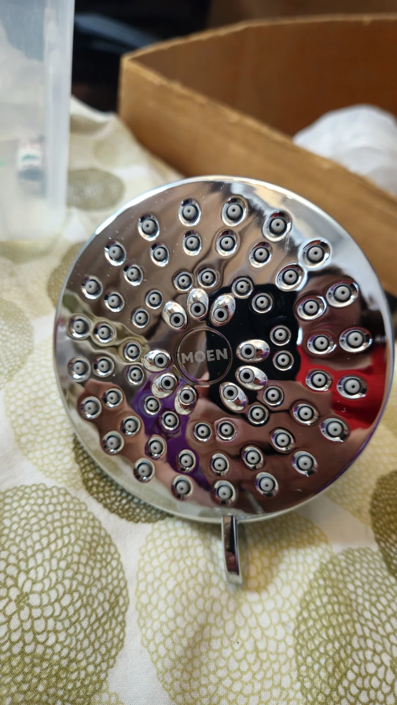 Moen Chrome Shower Head