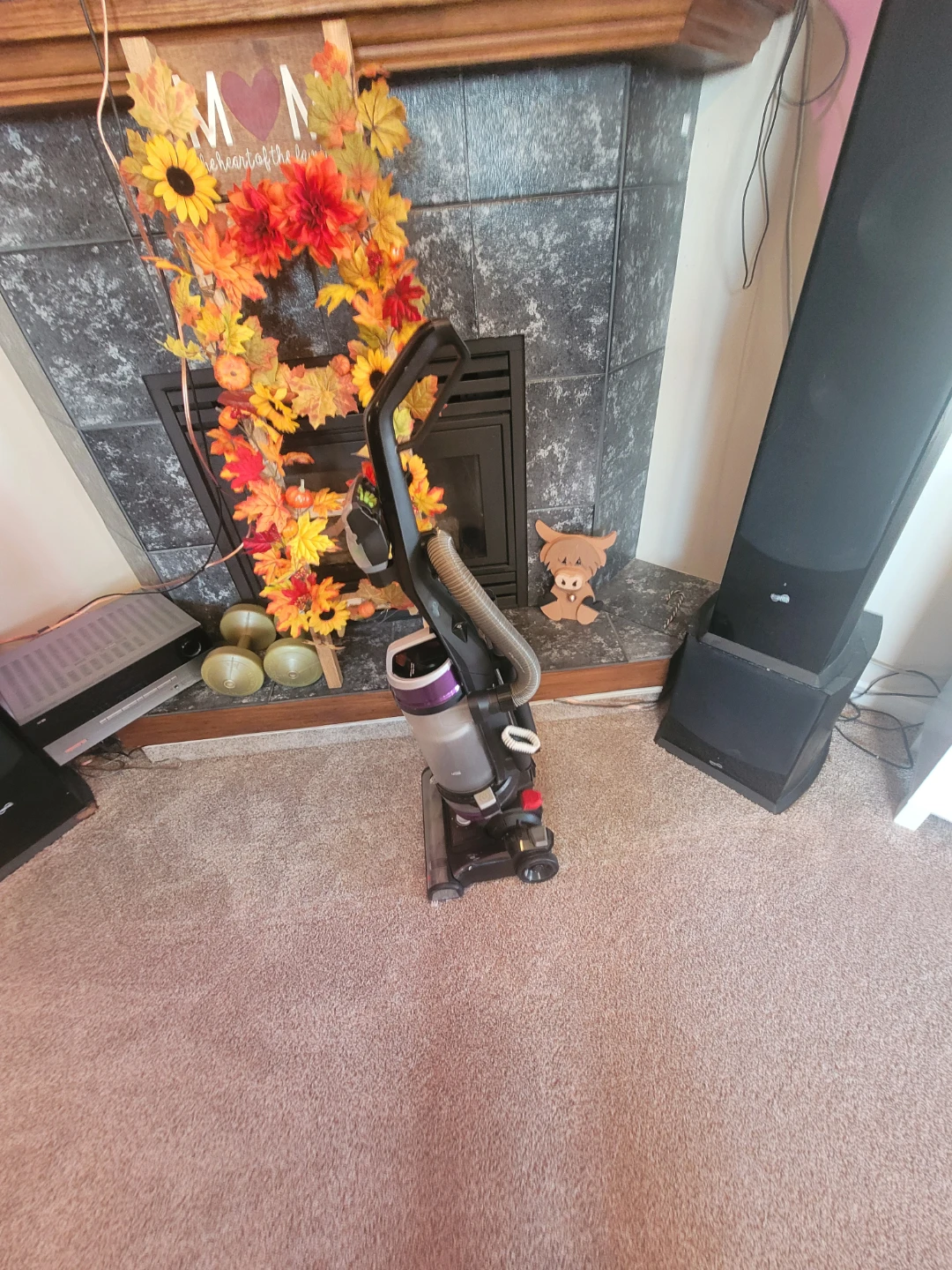 Bissell CleanView Swivel Rewind Pet Vacuum - photo 3