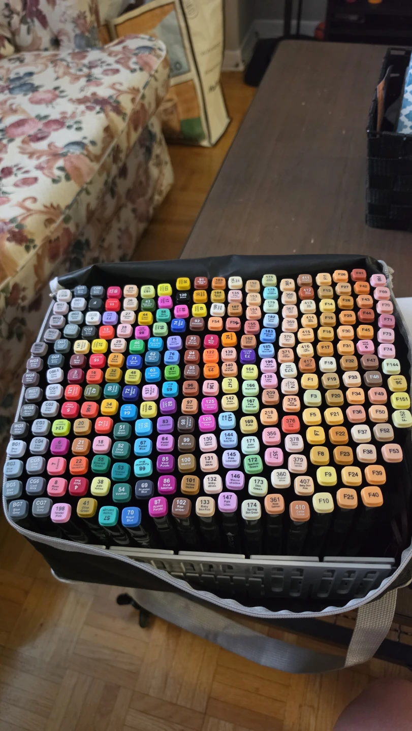 Set of 262 Alcohol Markers with Case