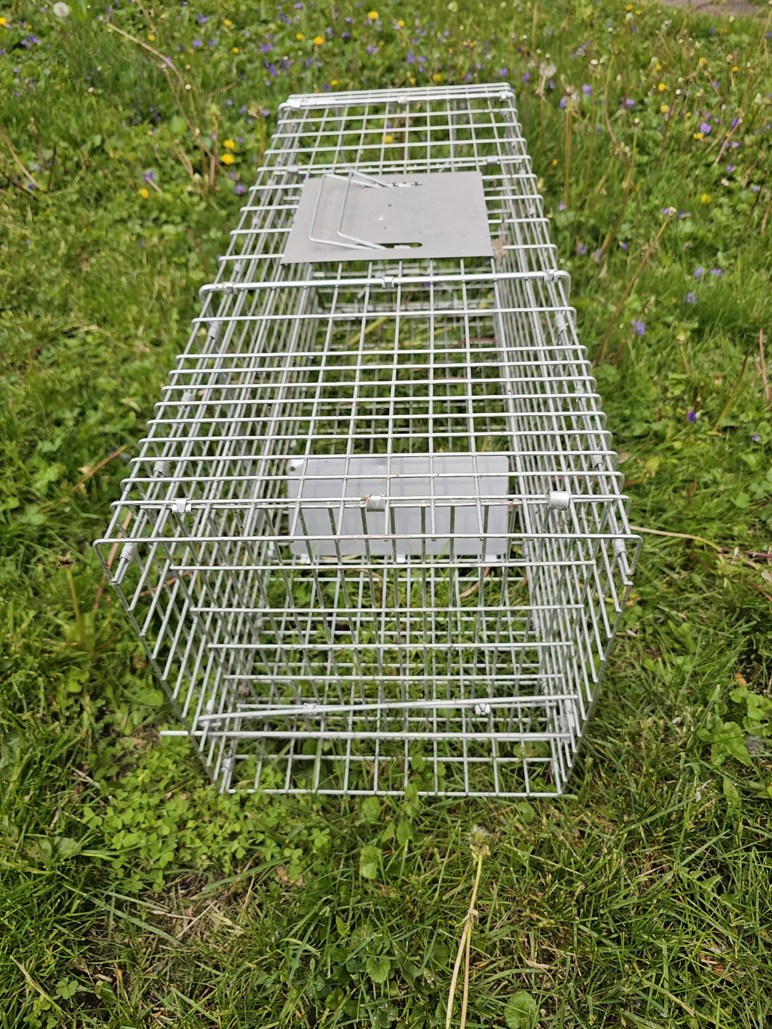 Havahart medium Animal Trap