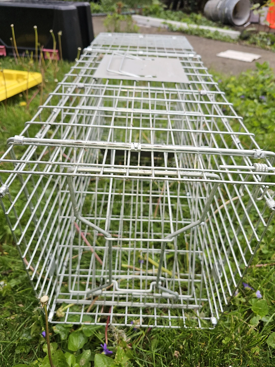 Havahart medium Animal Trap - photo 2