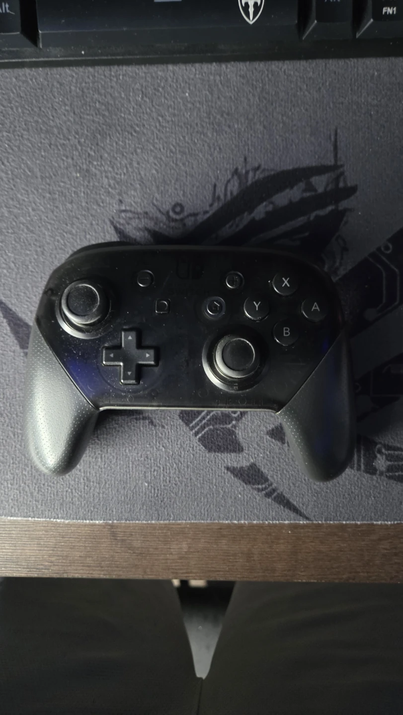 Nintendo Switch Pro Controller