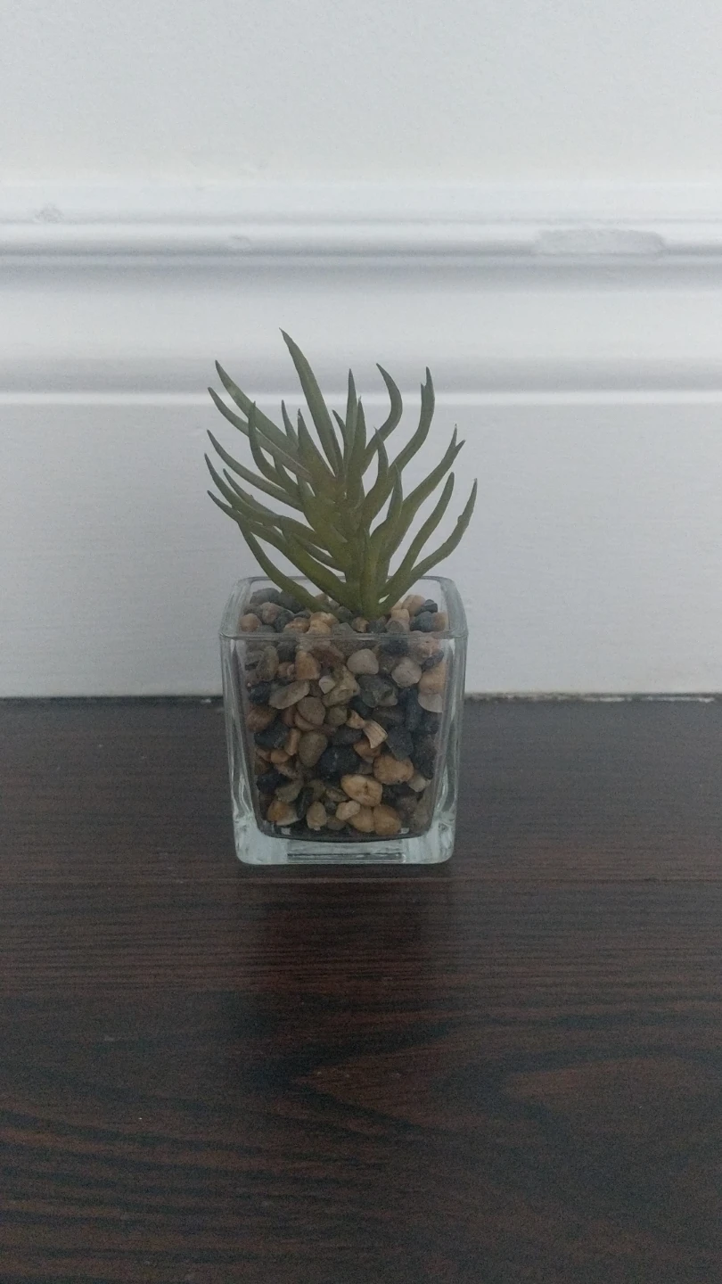 Cute mini fake plant in glass planter