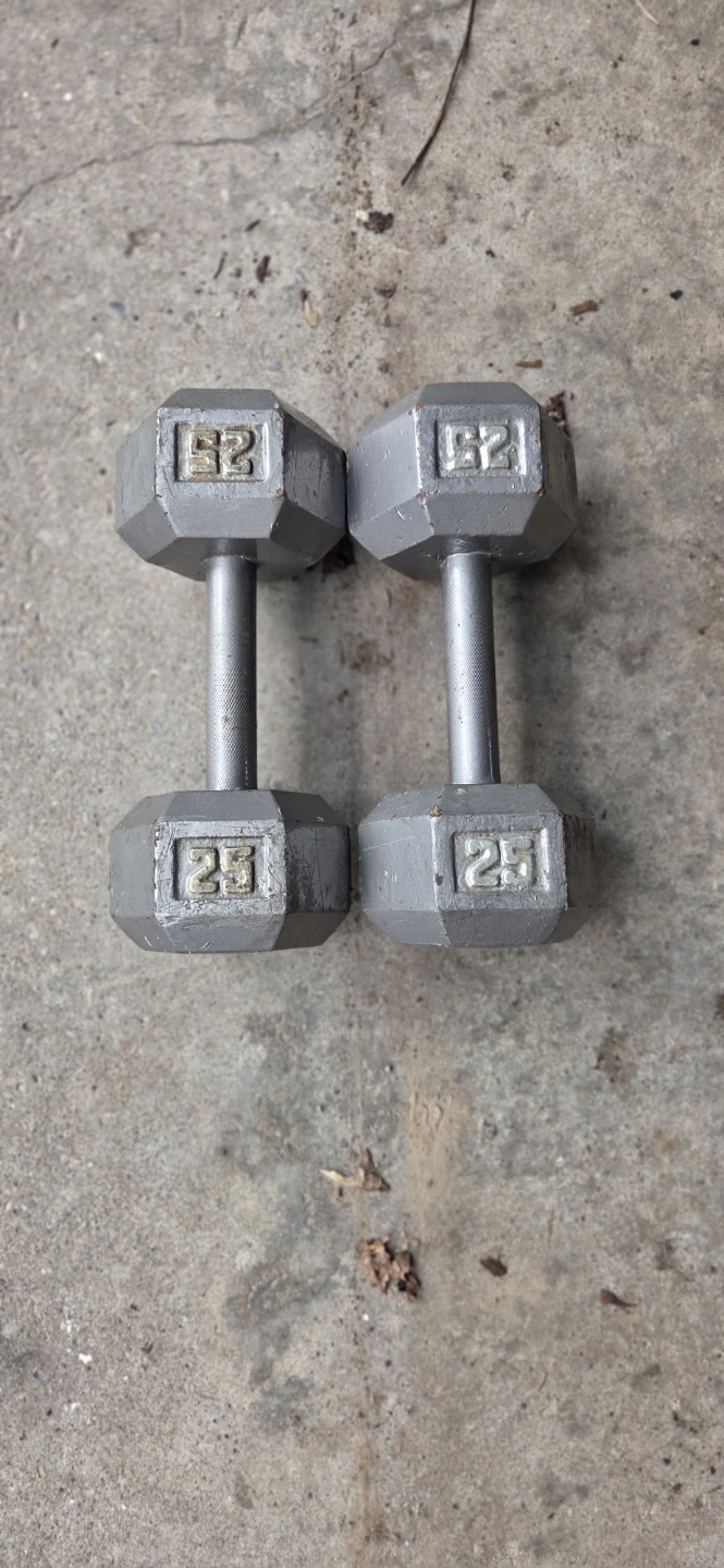 Pair of 25lb Dumbbells