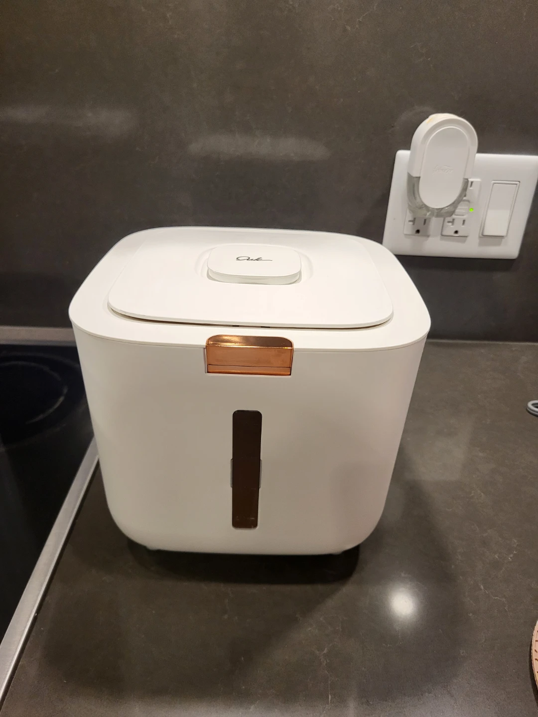 Rice Storage Container with Scoop