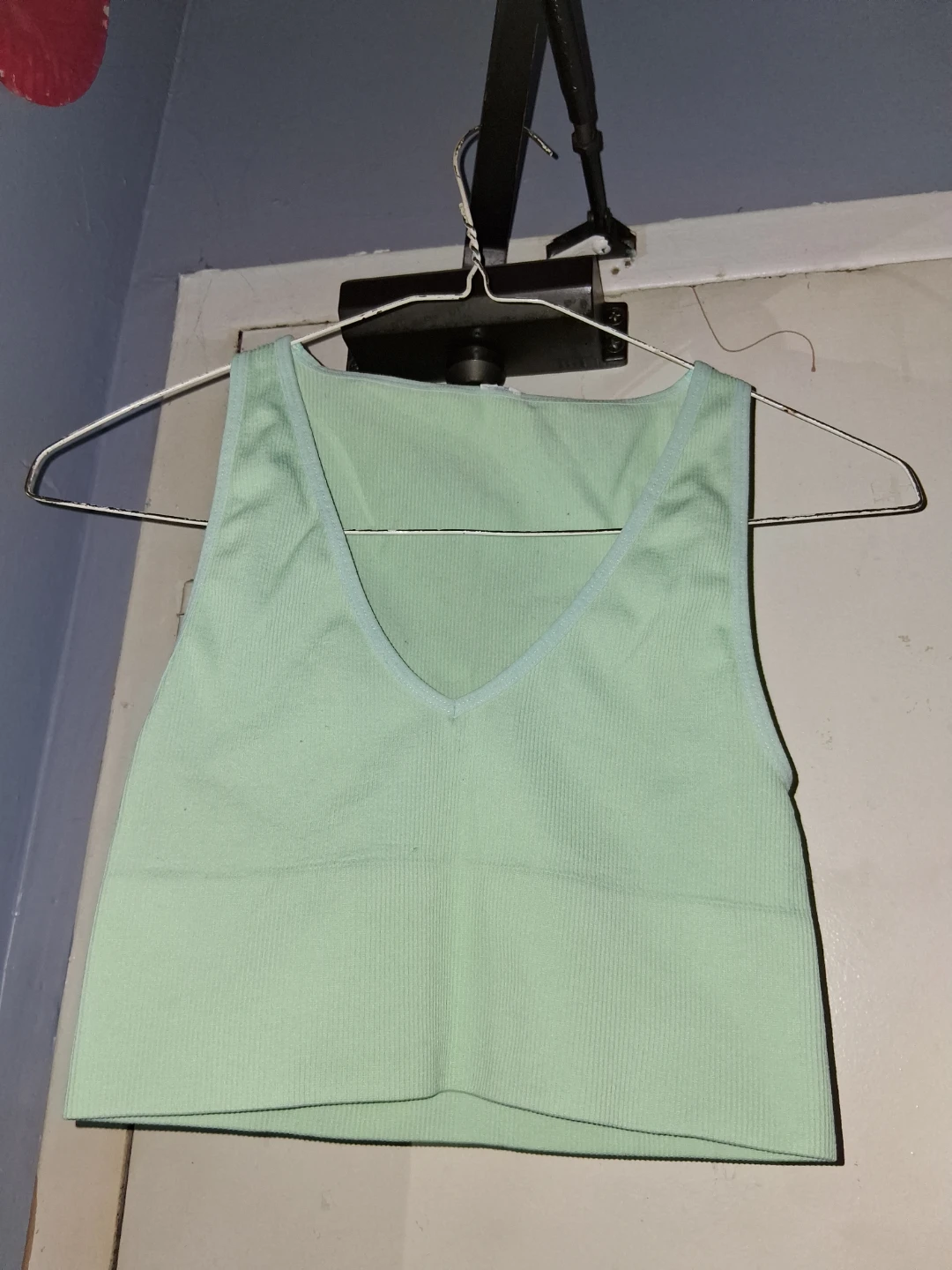 Light Green Ribbed Crop Tank Top (S)
