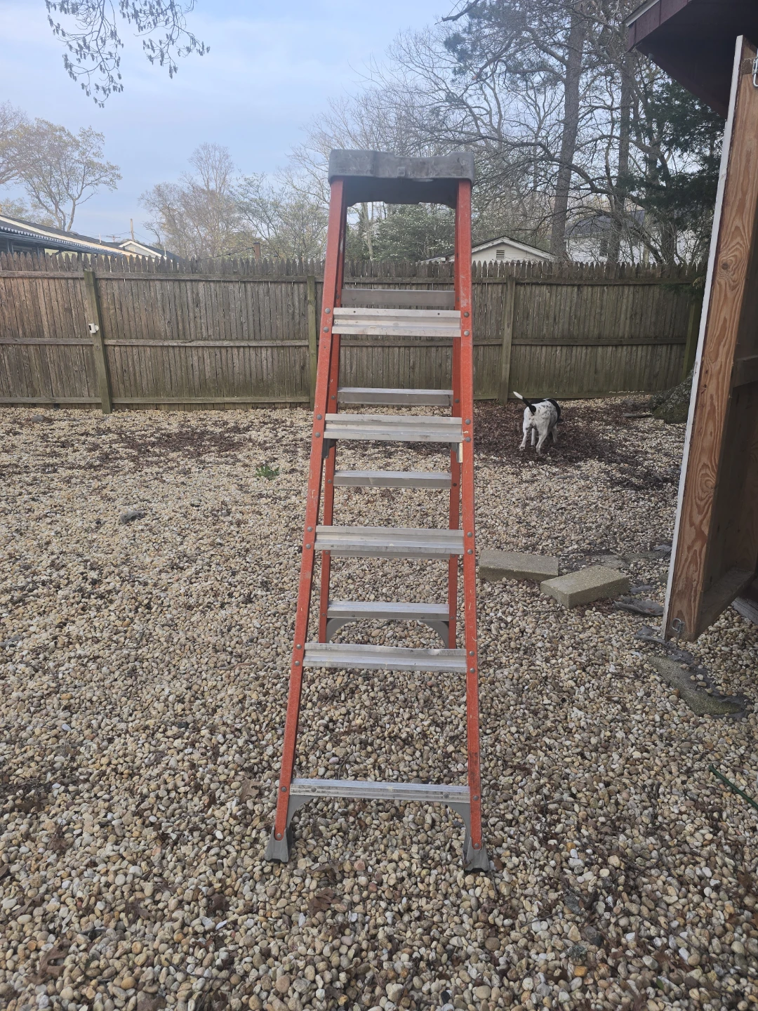 6ft extension ladder - photo 2