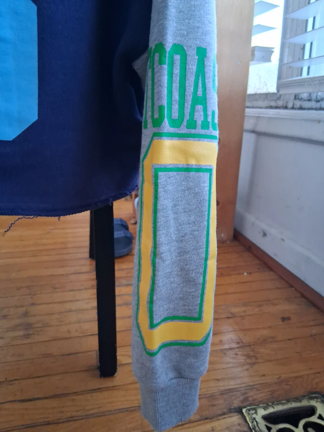 Michigan Limited Edition Hoodie - photo 2