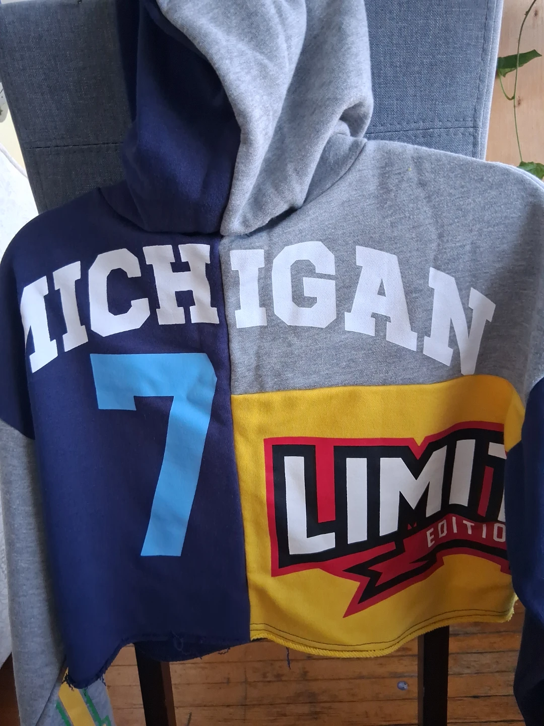 Michigan Limited Edition Hoodie - photo 3