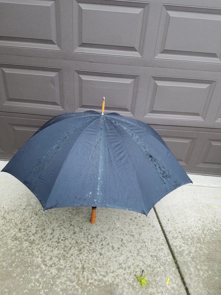 London Fog Black Umbrella