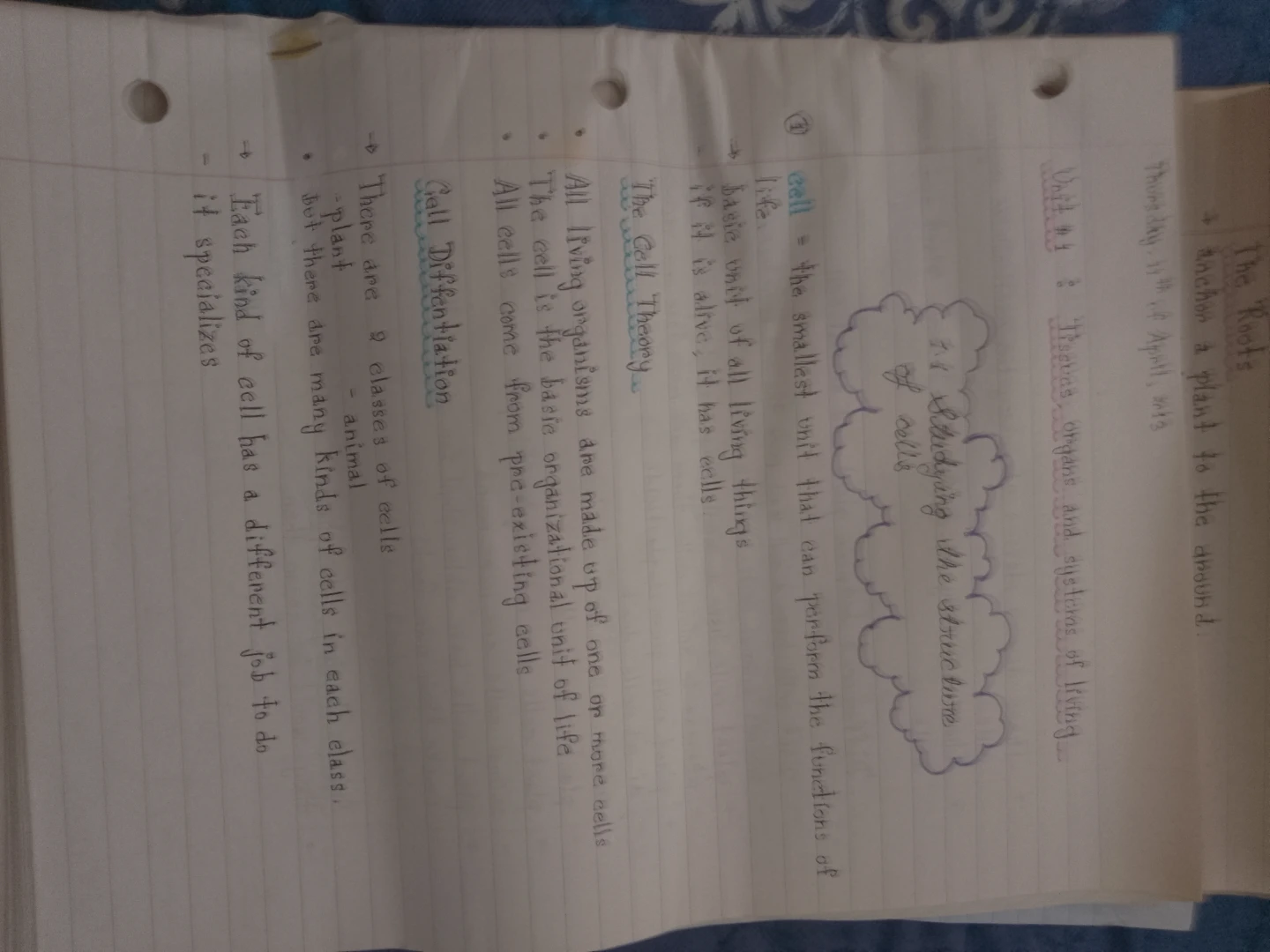 Grade 10 Science Notes 🌱 - photo 3