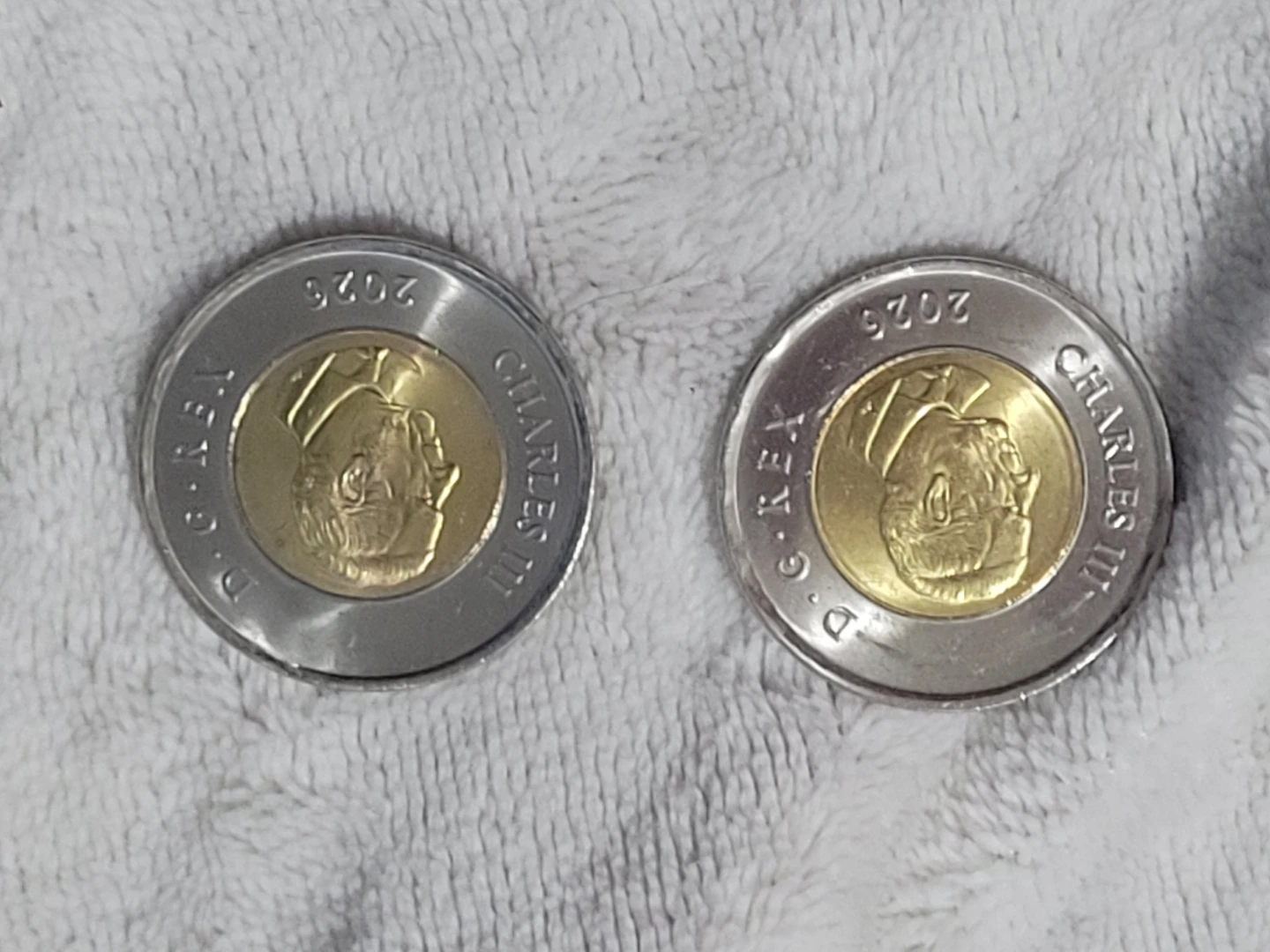 Canada 2 Dollar Coins (Loonies) - 2026 x Tower & - photo 4