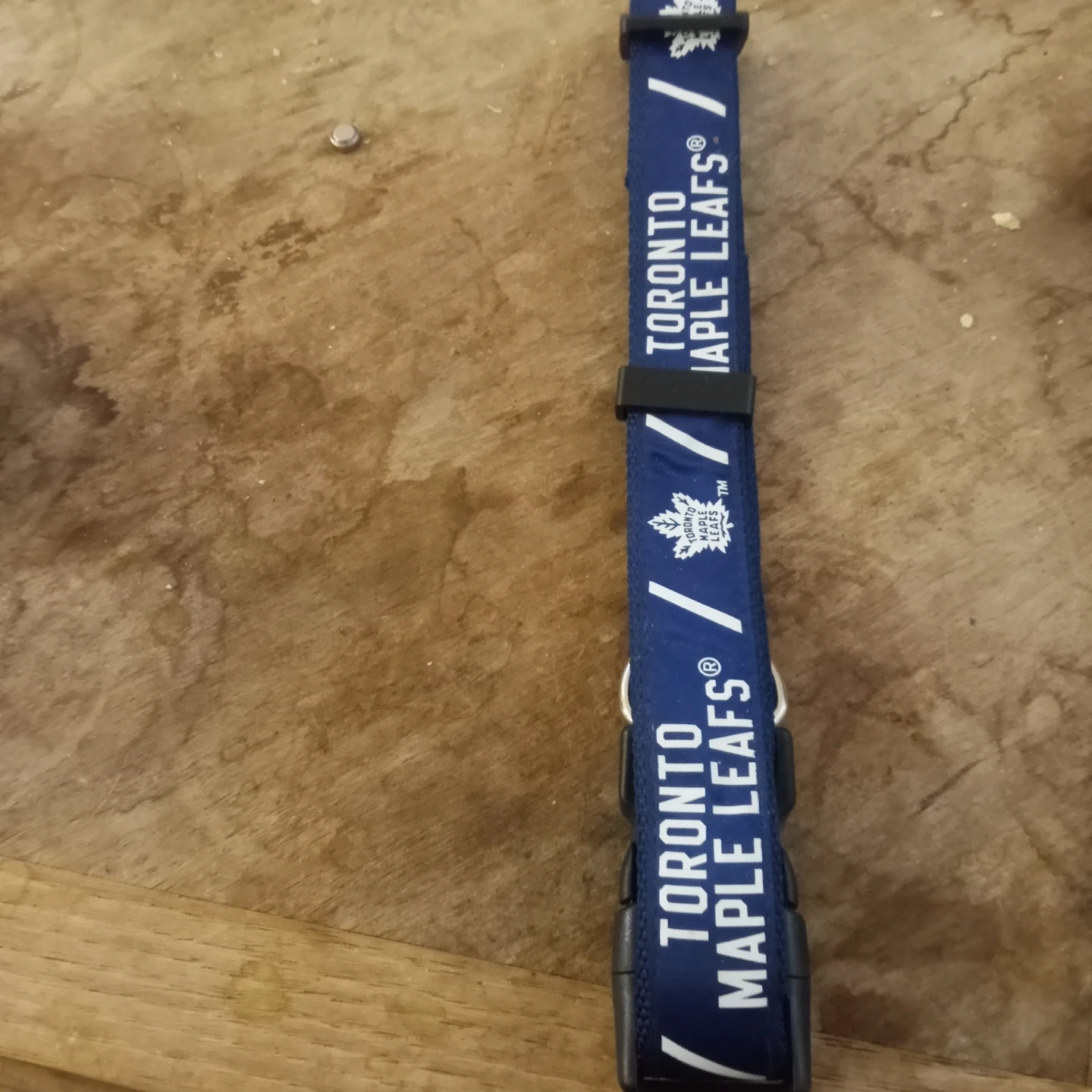 Large toronto maple leafs collar