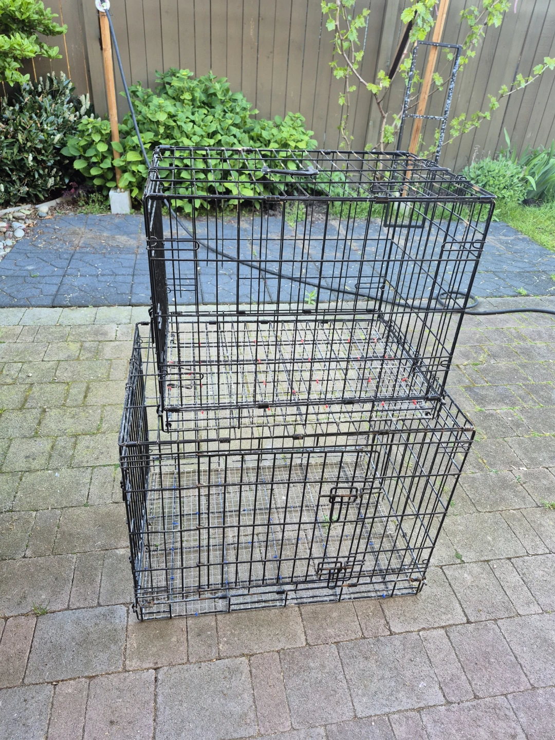 Stackable Dog Crate
