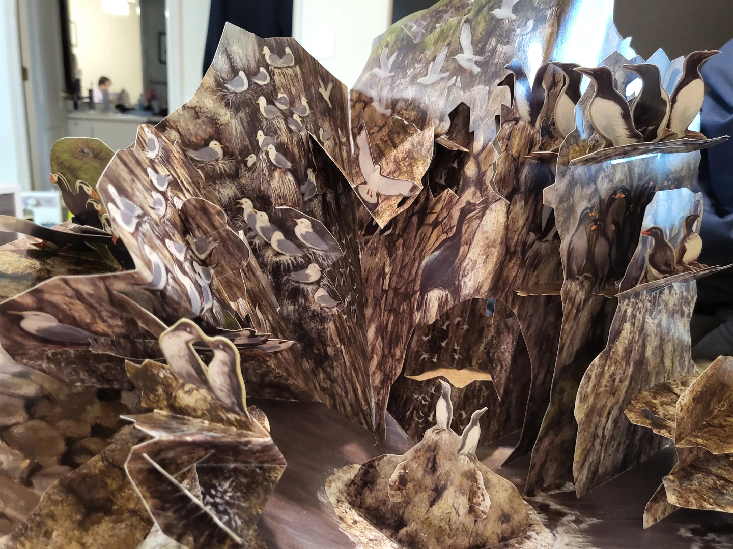 A Pop-Up Celebration of Bird Songs in Stereo Sound Book - photo 4