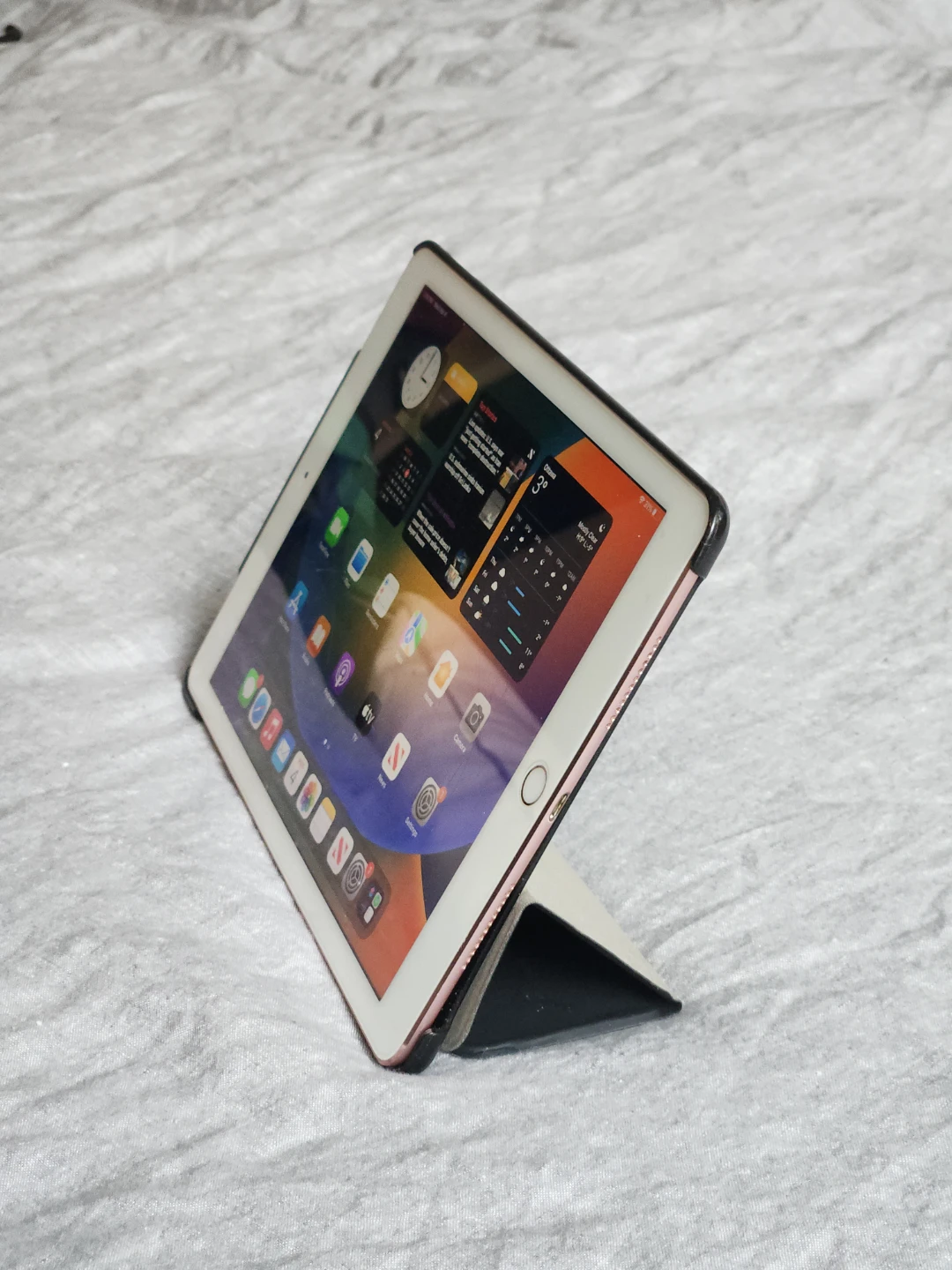 iPad Pro 9.7" with Case - 2016, Rose Gold - photo 2