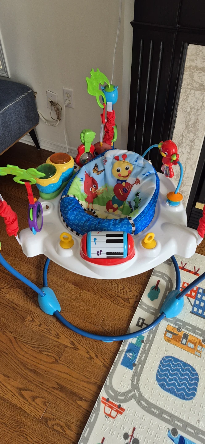 Baby Einstein Musical Motion Activity Jumper