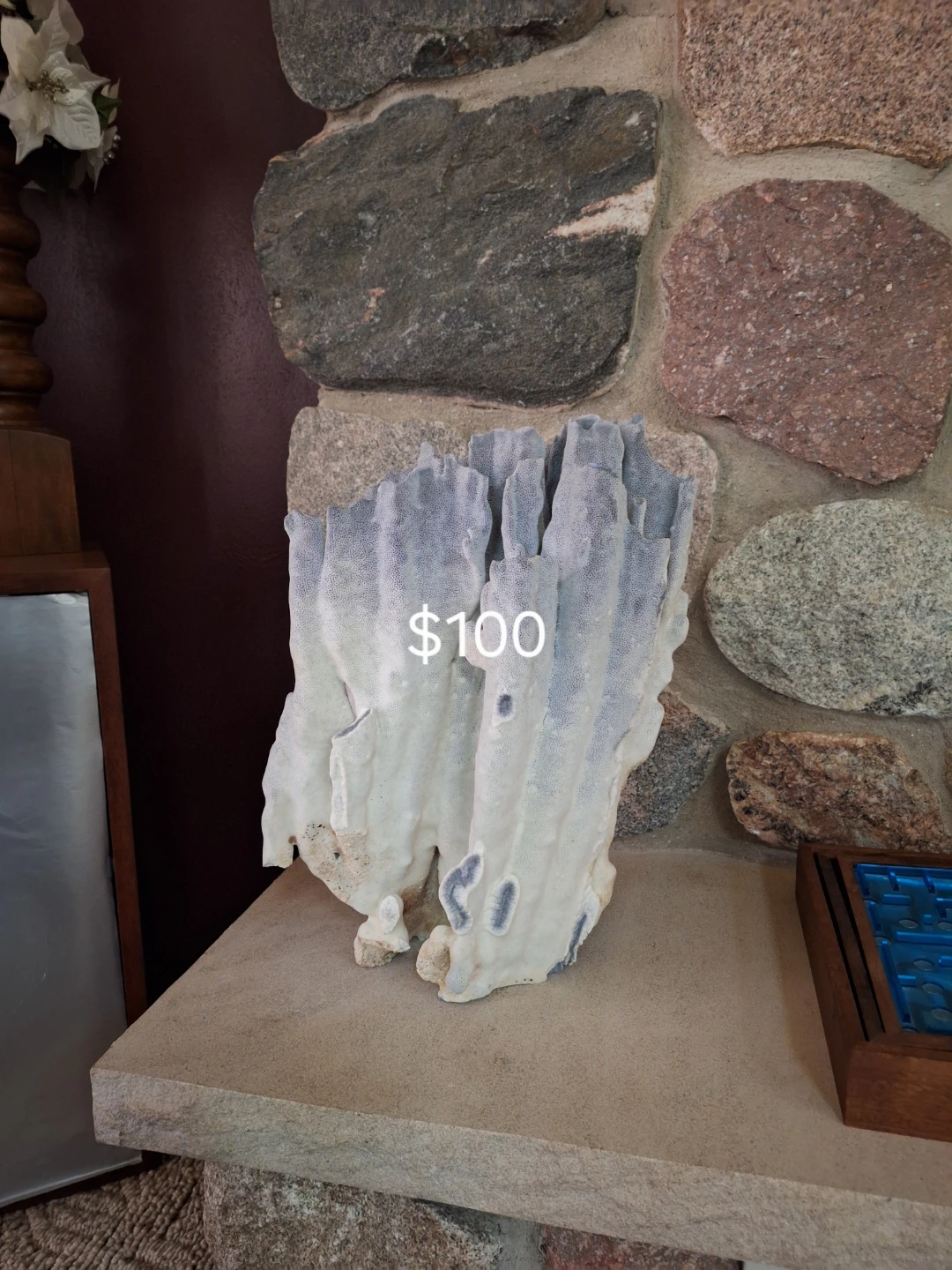Genuine Atlantic Coral