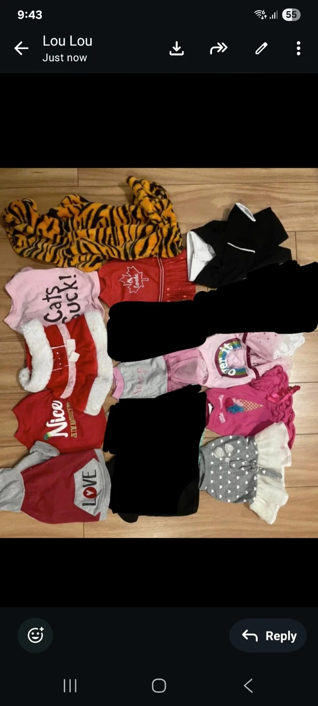 Bundle of Assorted Pet Clothes