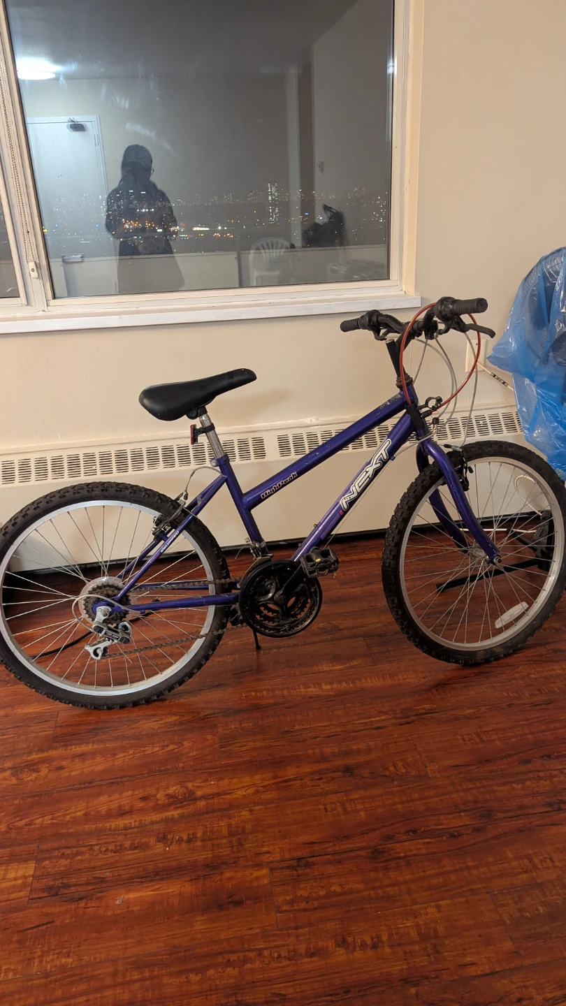 NEXT Purple Mountain Bike