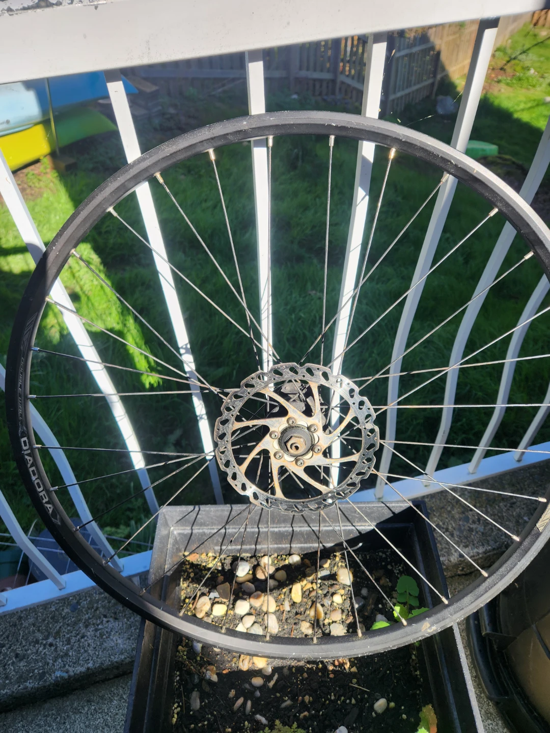 Diadora Double Wall Bicycle Wheel with Disc Brake - photo 3
