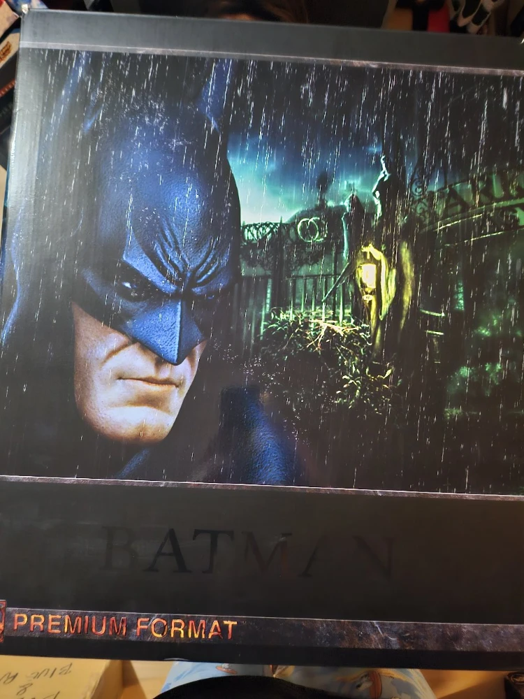 Batman Arkham Asylum Premium Format Figure - photo 4