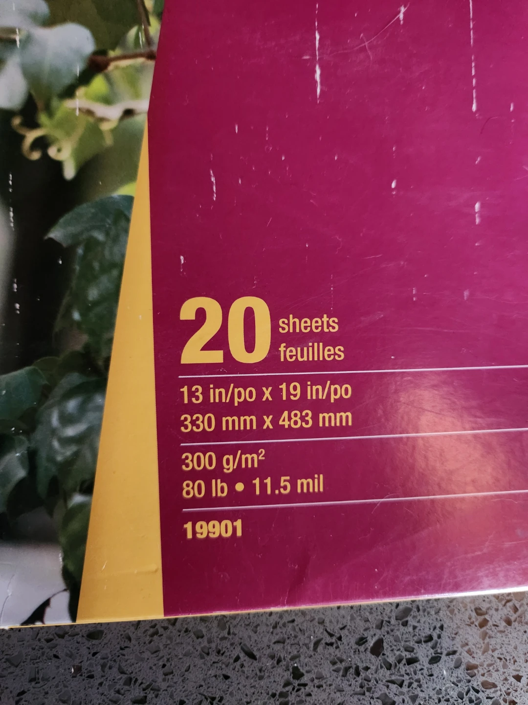 Glossy Photo Paper 13" x 19" - photo 2