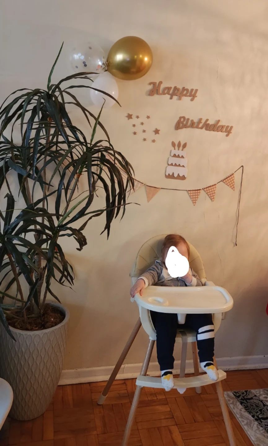 Baby High Chair