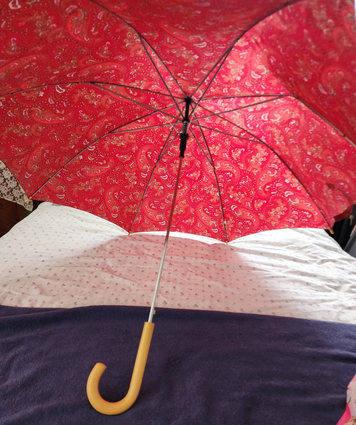 Red Paisley Print Umbrella with Yellow Handle