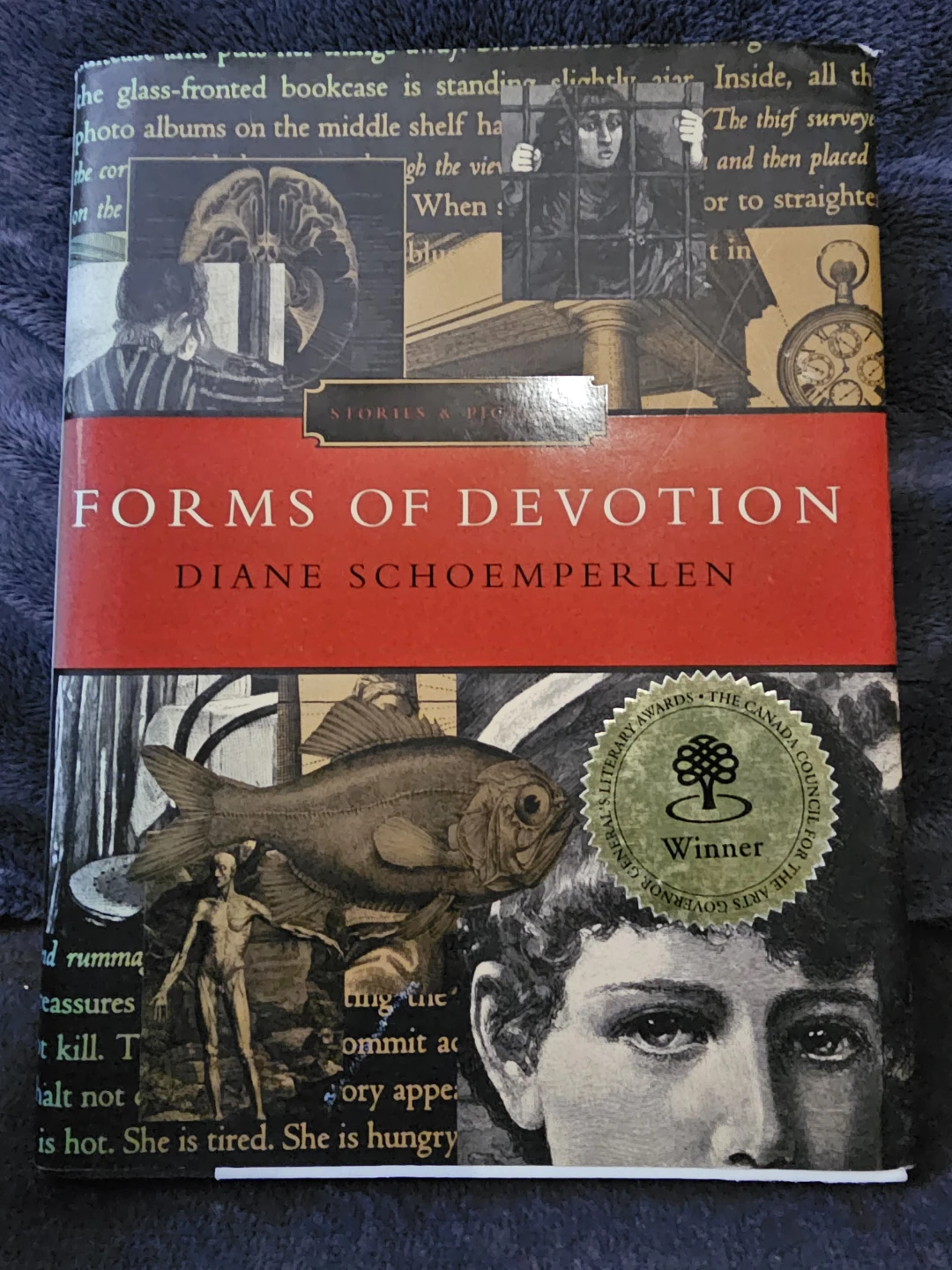 Forms of Devotion by Diane Schoemperlen Paperback Book