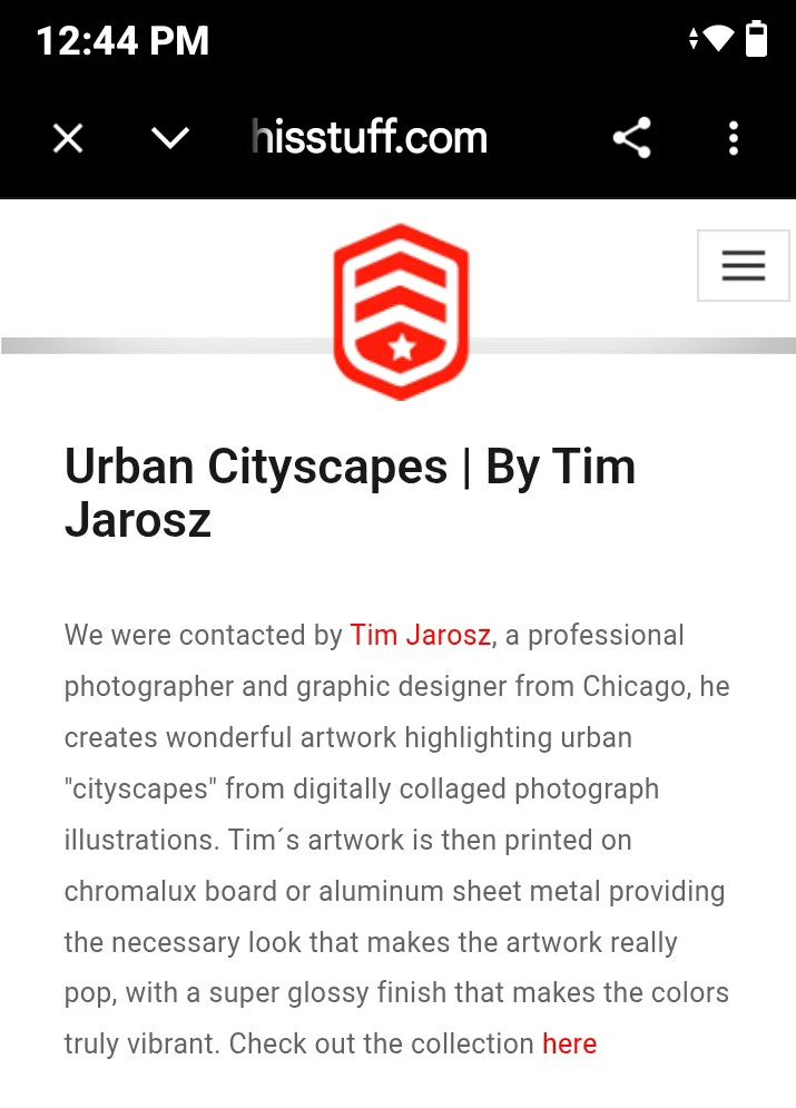 Tim Jarosz the Bus Graffiti Artwork - photo 3