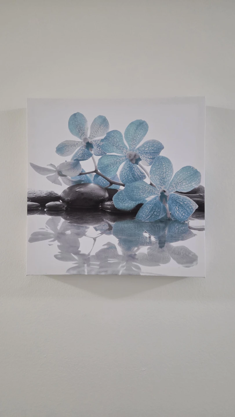 Canvas Wall Art - Blue Orchids and Stones