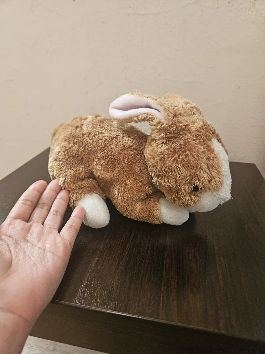 Plush Bunny Stuffed Animal