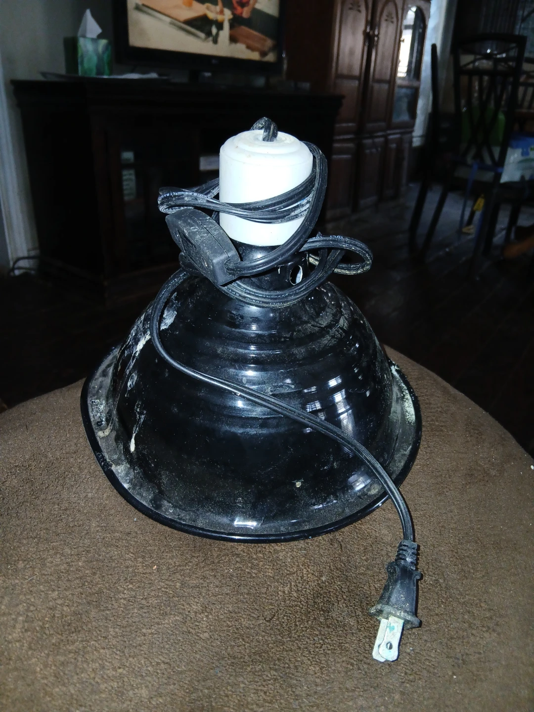 Black Dome Heat Lamp Fixture