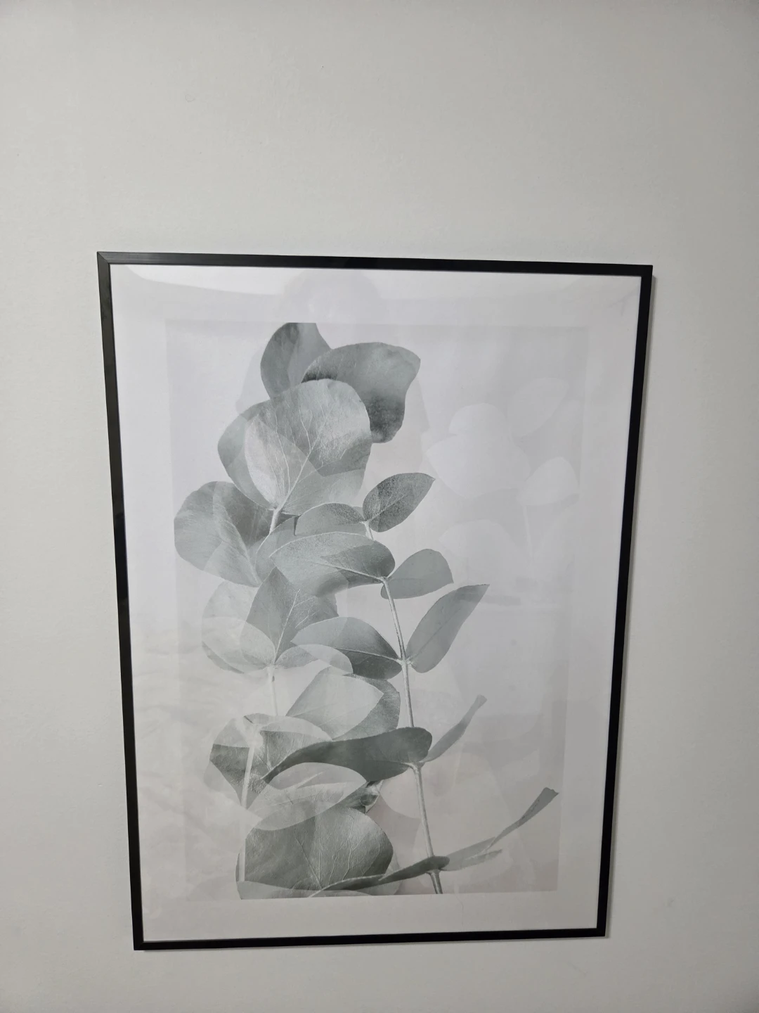 Framed Eucalyptus Botanical Print - photo 2