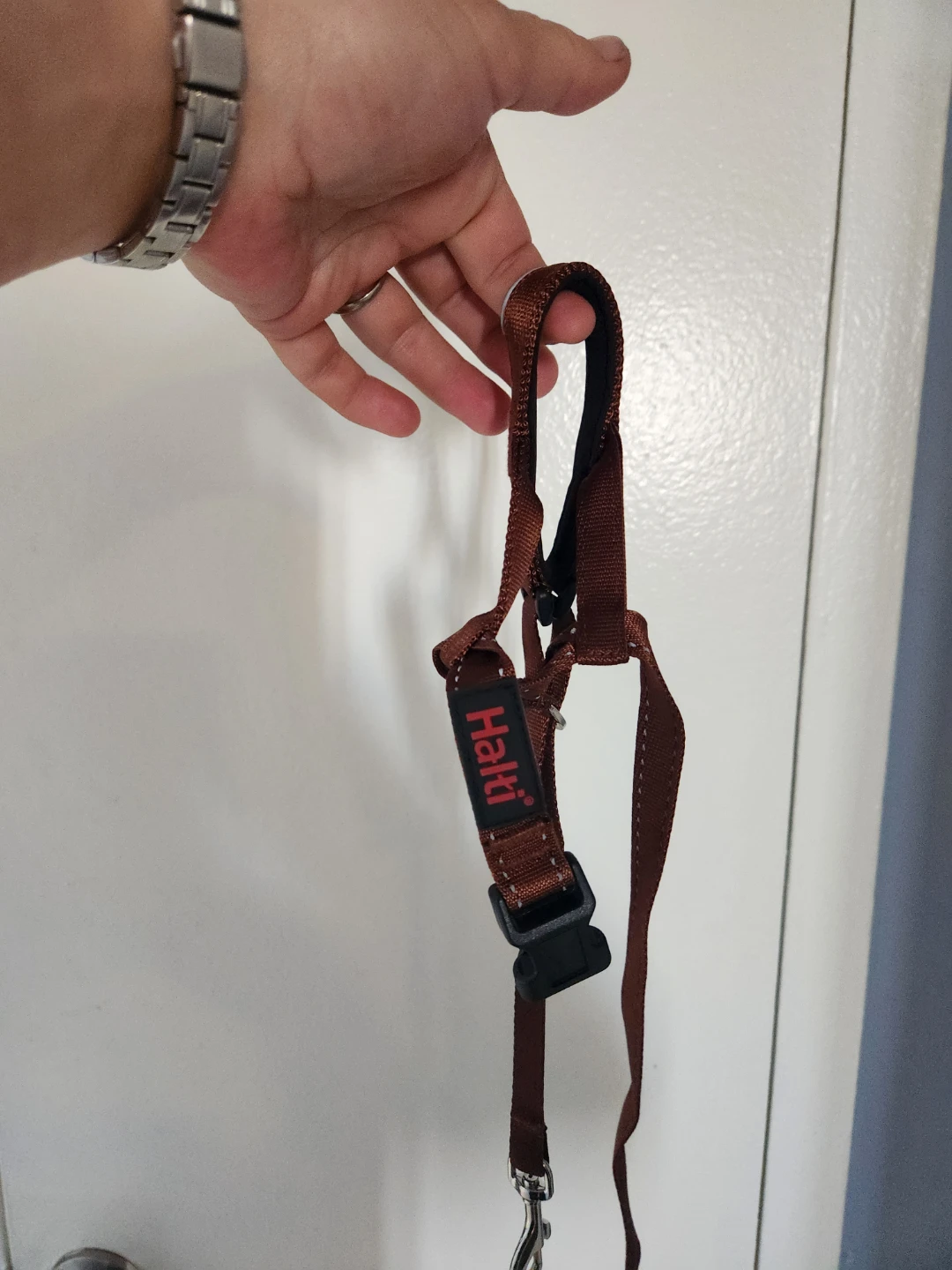 Halti Dog Head Harness Brown