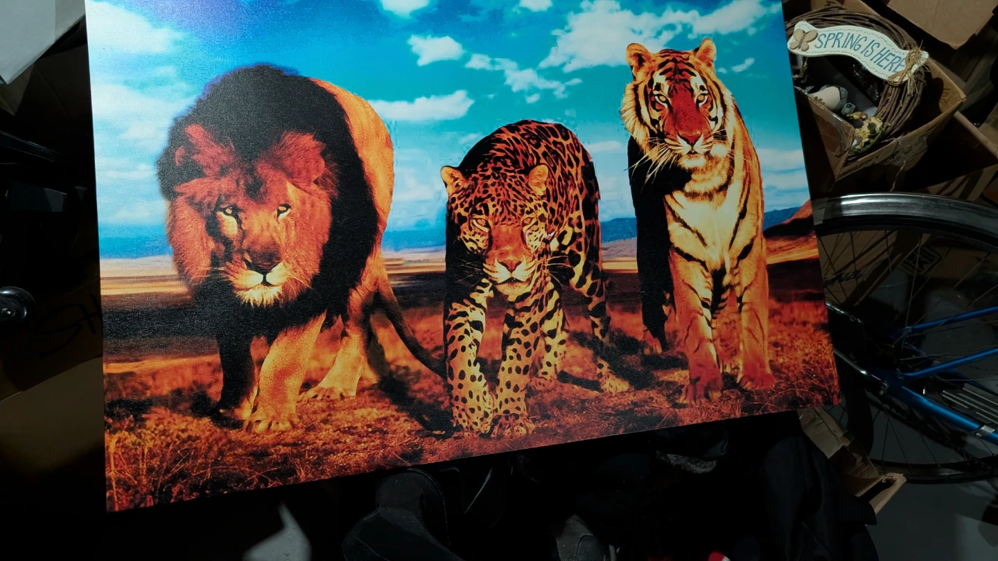 Large Wall Art Print - Big Cats