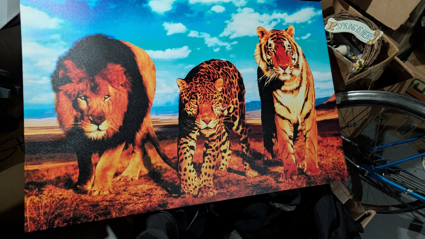 Large Wall Art Print - Big Cats - photo 2