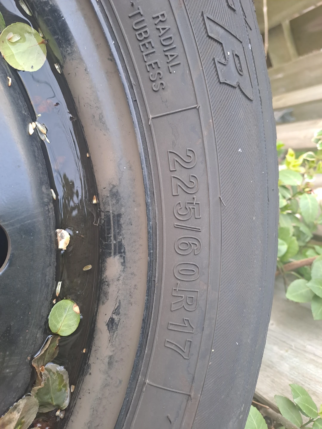 Echogard Tire 225/60R17 - photo 4