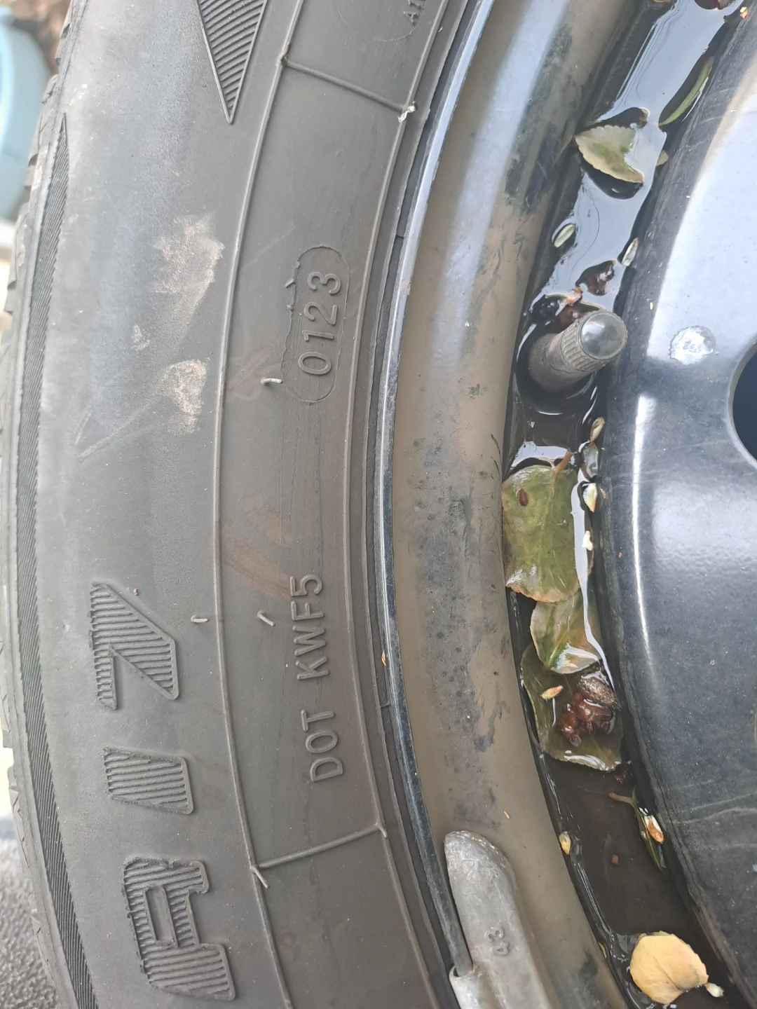 Echogard Tire 225/60R17 - photo 5