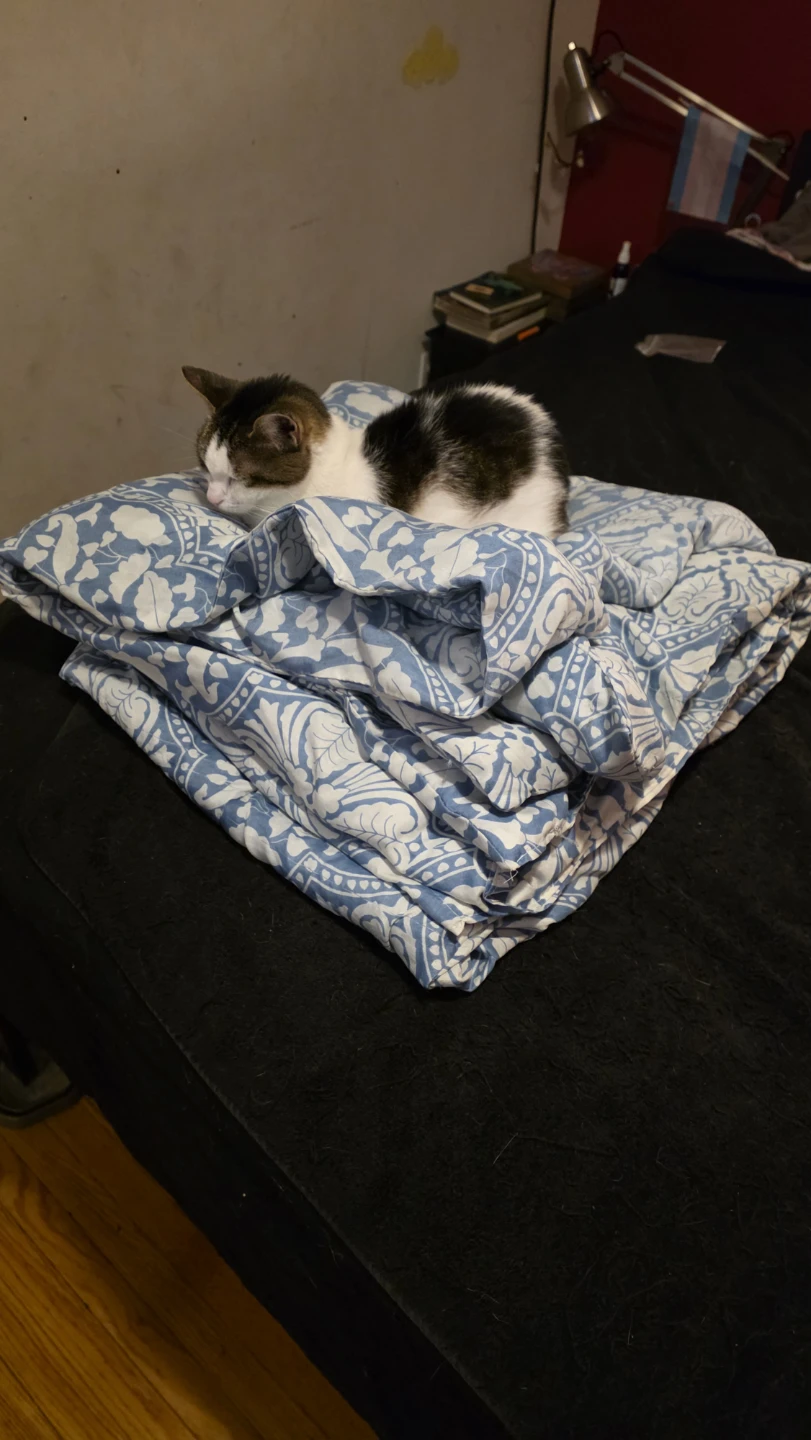 Blue and white patterned queen size duvet