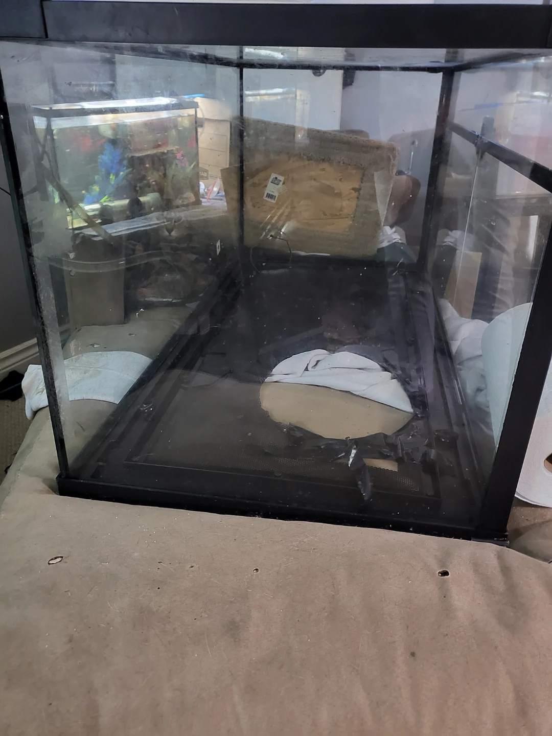 Reptile Large Glass Aquarium Tank