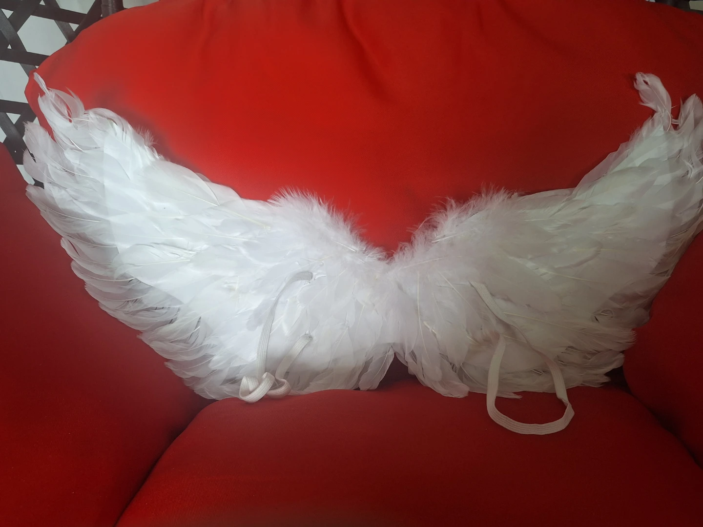White Angel Wings Feather