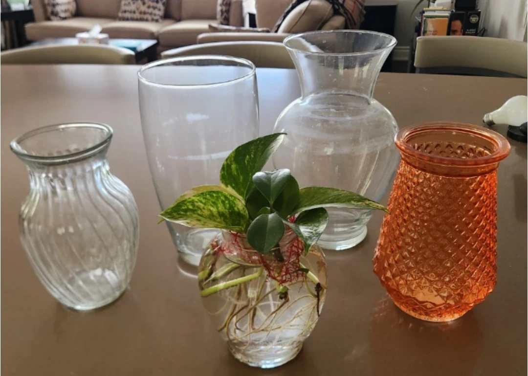 Assorted Glass Vases