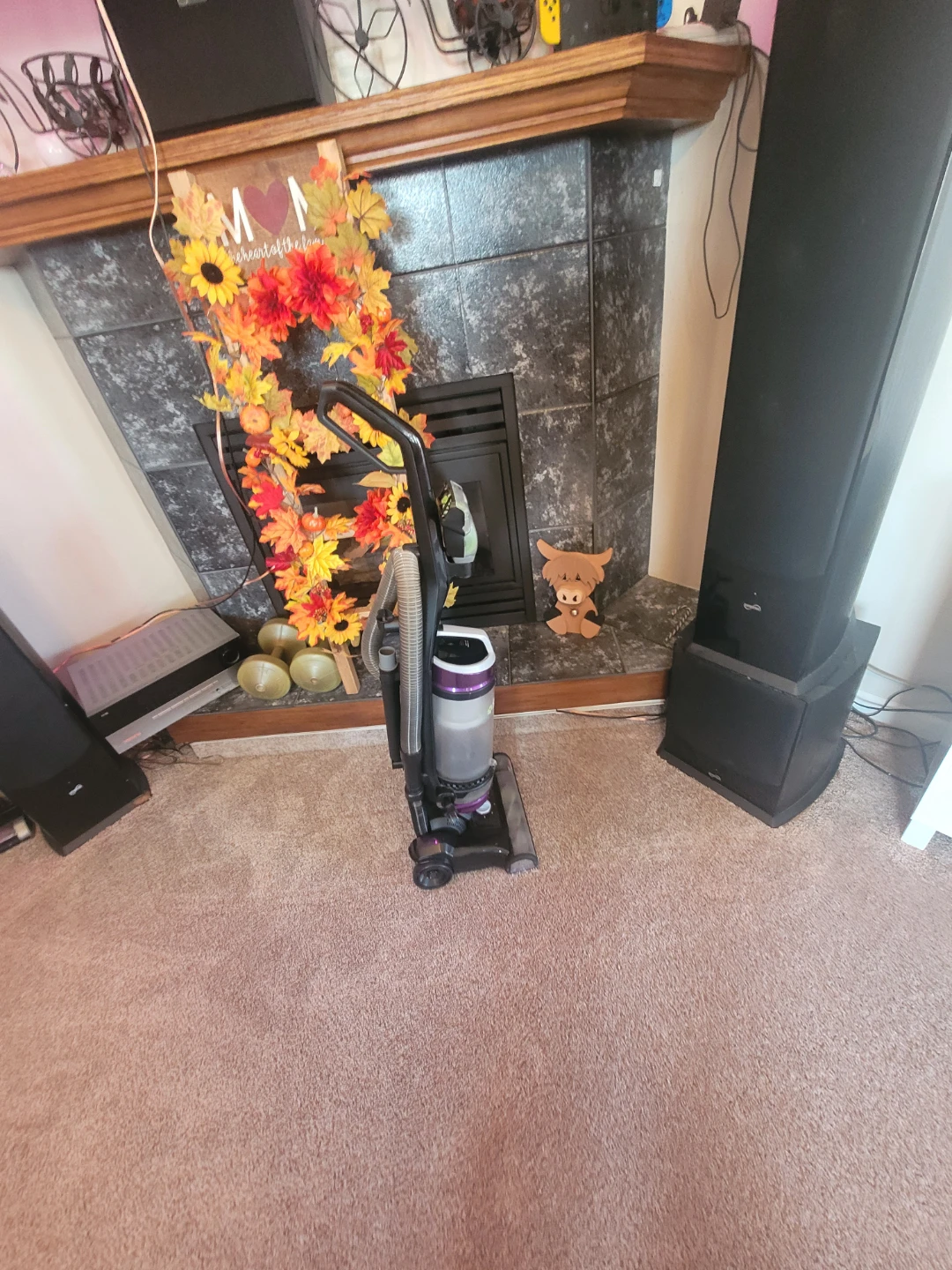 Bissell CleanView Swivel Rewind Pet Vacuum - photo 2