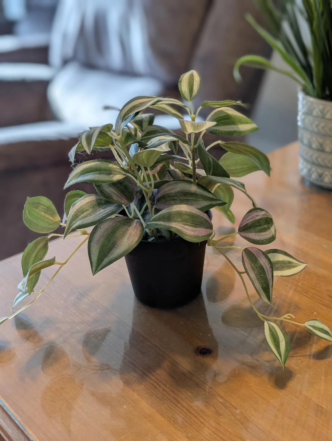 2 Artificial Plants - photo 5
